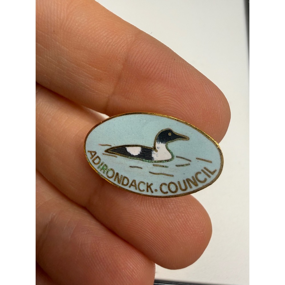 Adirondack Council Common Loon Enamel Lapel Pin Gold Tone Nature Conservation
